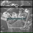 Insect