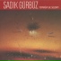 Sadık Gürbüz