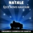 Ensamble Carmelo de Santis