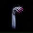 Kim Petras feat. Elvira, Mistress of the Dark