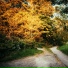 Relaxing Music Therapy, Musica Relajante, Yoga