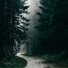 Sleep Tight, Baby Sweet Dream, Rain and Nature