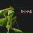 Shihad