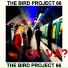 THE BIRD PROJECT 66
