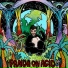 Panda on Acid