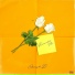 Cherish D.