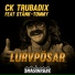 CK Trubadix feat. Stånk-Tommy, Småstadsliv
