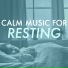 Deep Rest Maestro