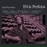 Elvis Perkins