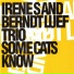 Berndt Luef Trio, Irene S