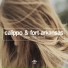 Calippo, Fort Arkansas