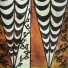 Soane
