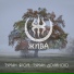 Жива