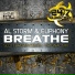 Al Storm, Euphony feat. Danielle