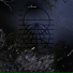 Lucida Dark