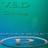 V.S.D
