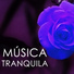 Musica Tranquila Maestro