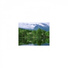 Mindfulness Healing BGM Project