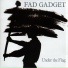 Fad Gadget