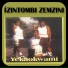 Izintombi Zemzini