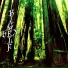 Bigelf - 2003