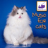 RelaxMyCat