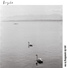 Bryde