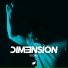 DIM3NSION