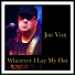 Joe Vox