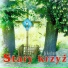 Stary krzyż