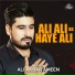 Ali Akbar Ameen
