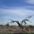 URCHN
