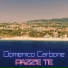Domenico Carbone