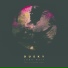 Dusky, Solomon Grey