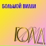 БОЛЬШОЙ ВИЛЛИ