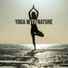 Hatha Yoga Music Zone
