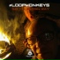 LoopMonkeys