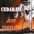CEDARAIL