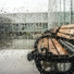 Raindrops Sleep, Amazing Spa Music, Zen