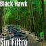 Black Hawk