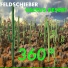 Feldschieber