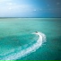 Ocean Sounds