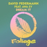 David Federmann feat. Awa Sy