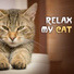 Pet Music World