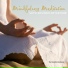 The Mindful Meditator