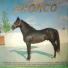 Bronco