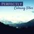 Calm Stress Oasis Relief