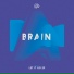 Brain