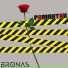 BRONAS