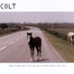 Colt